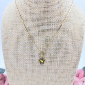 collar acero estrella